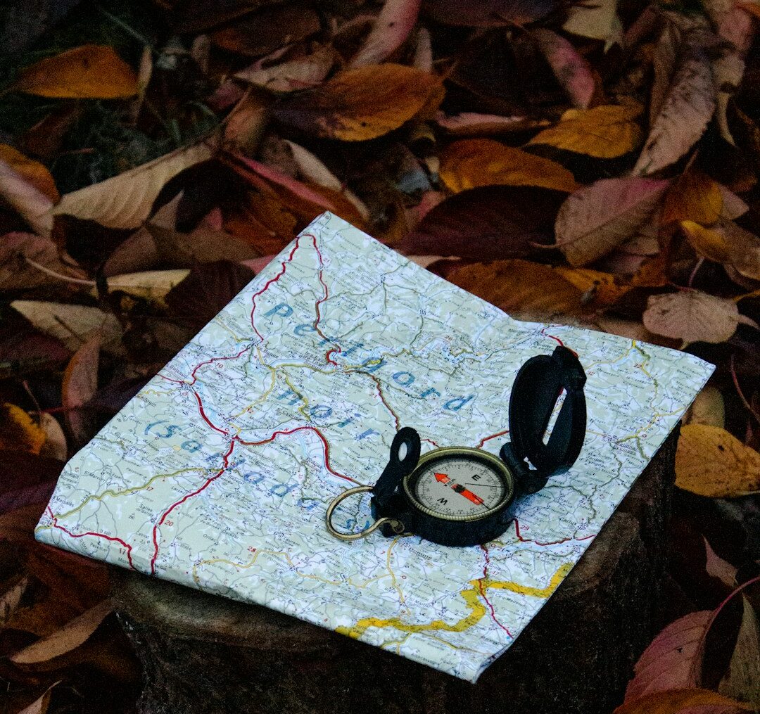 compass on white map surrounded dried leaves